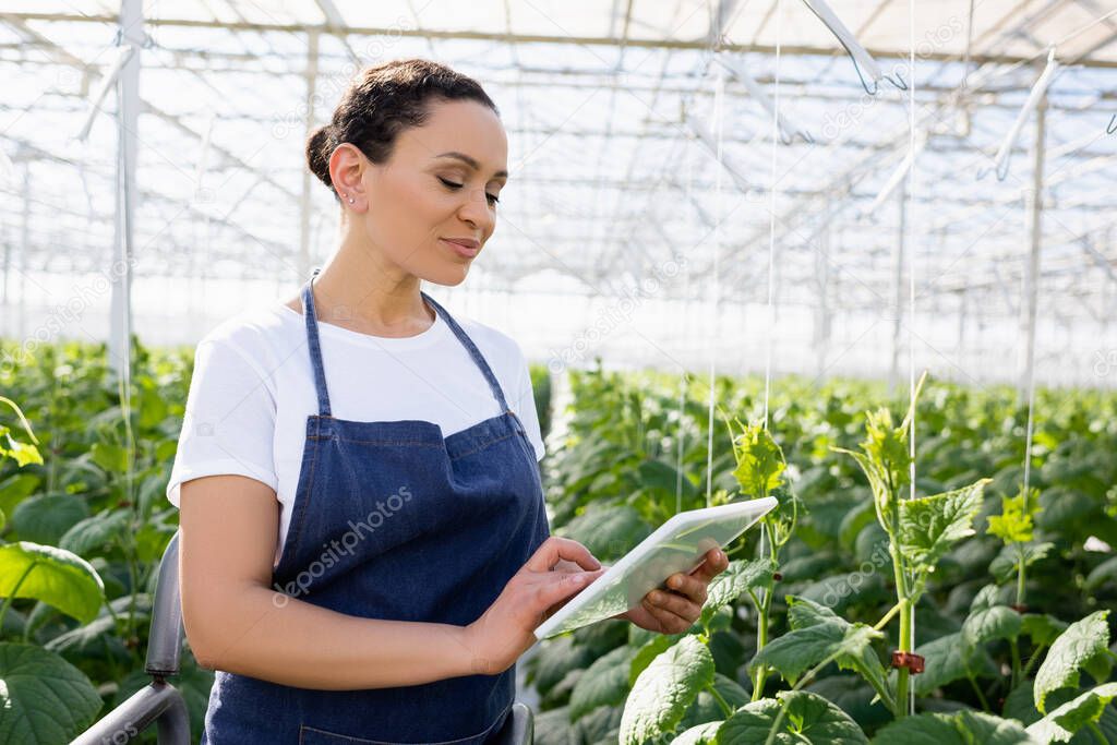 smiling african american farmer in apron using digital tablet in greenhouse