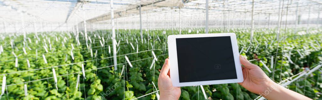 partial view of farmer holding digital tablet with blank screen in glasshouse, banner