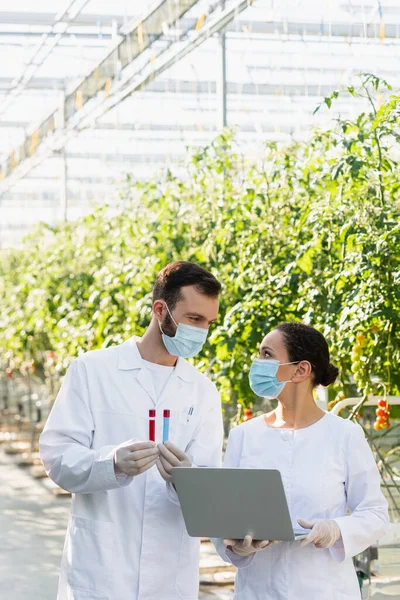 Qualitätskontrolleure Medizinischen Masken Halten Reagenzgläser Und Laptop Gewächshaus — Stockfoto