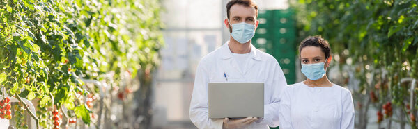 межрасовые инспекторы качества в медицинских масках и белых халатах в теплице, баннер