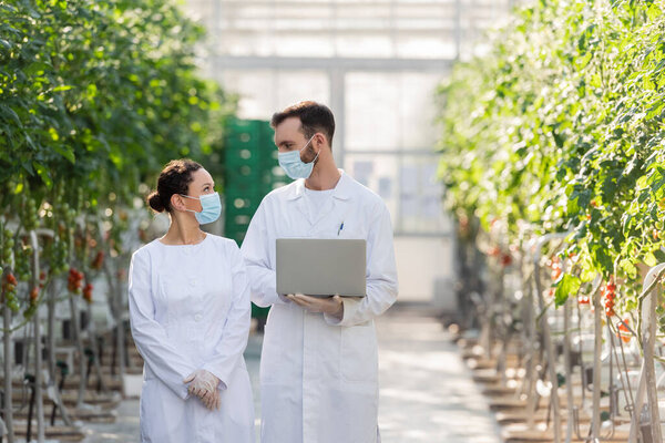 quality inspector in medical mask holding laptop near african american colleague in greenhouse