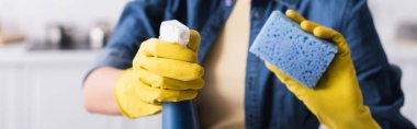 Cropped view of woman in rubber gloves holding detergent and blurred sponge, banner  clipart