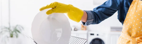 Cropped View Woman Rubber Glove Holding Plate Stand Banner — Stock Photo, Image