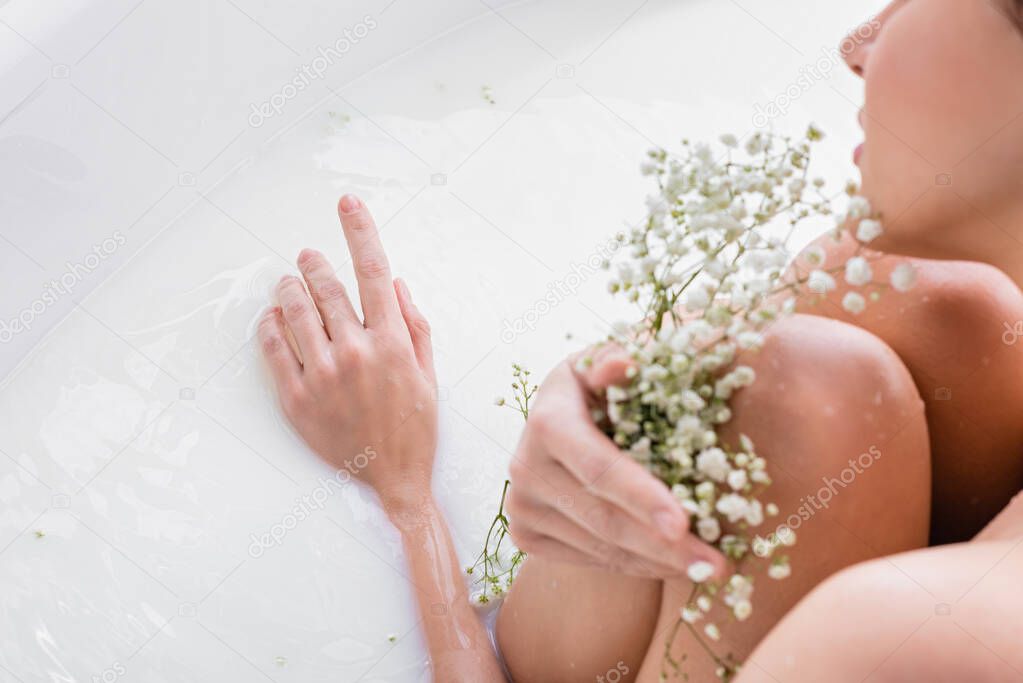 cropped view of woman bathing in milk while holding gypsophila flowers, blurred foreground