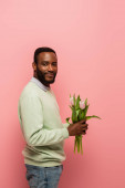 potěšen africký Američan při pohledu na kameru, zatímco drží tulipány izolované na růžové
