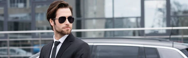 Businessman Suit Sunglasses Modern Car Banner — Stock Photo, Image
