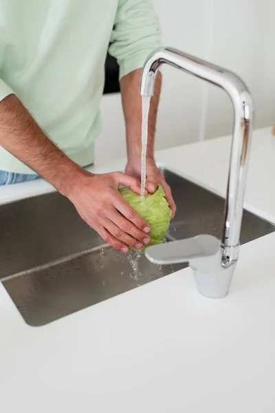 Cropped View Man Washing Fresh Lettuce Kitchen — Stock Photo, Image