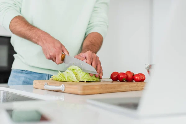 Beskärd Bild Man Skära Sallad Nära Körsbärstomater Suddig Förgrund — Stockfoto