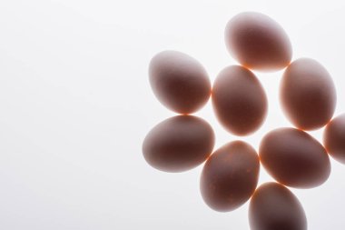 Beyaz üzerine izole edilmiş çiğ ve organik yumurtaların alt görüntüsü