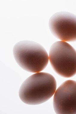 Çiğ ve taze yumurtaların beyaza izole edilmiş alt görüntüsü