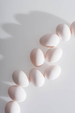 Beyaz kabuklu taze ve organik yumurtaların üst görüntüsü 