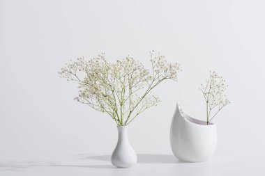 branches with blooming flowers in vases on white background clipart