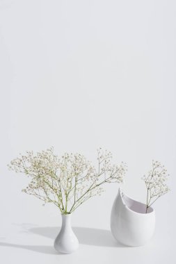 branches with blossoming flowers in vases on white background clipart