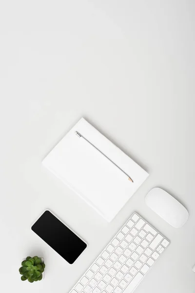 Top View Smartphone Blank Screen Small Plant Keyboard Notebook Pencil — Stock Photo, Image
