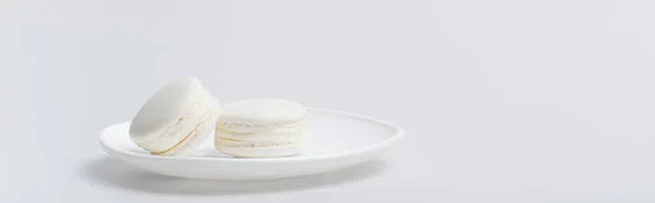 Deliciosos Macarons Plato Aislado Blanco Bandera — Foto de Stock