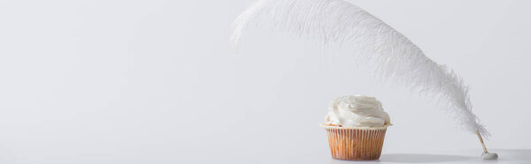 weightless and soft feather near tasty cupcake on white, banner