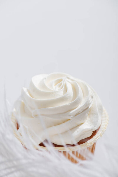 размытое мягкое перо рядом с вкусным кексом изолированы на белом 