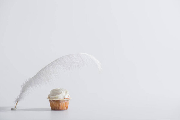 weightless feather near tasty cupcake on white 