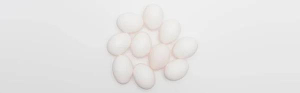 Top View Raw Organic Eggs Isolated White Banner — Stock Photo, Image