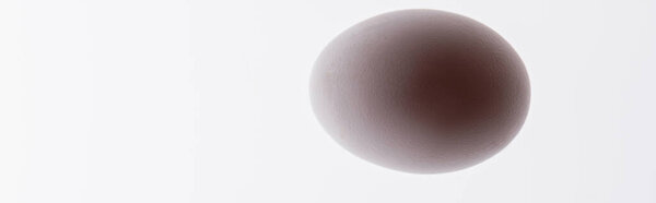 bottom view of uncooked and organic egg isolated on white, banner