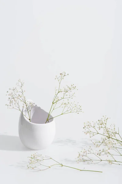 Branches Blooming Flowers Vase White Background — Stock Photo, Image