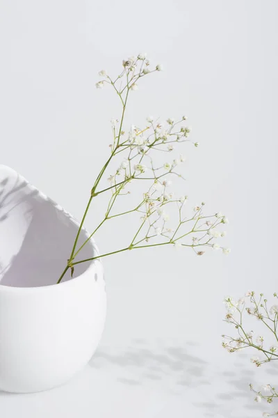 Ramos Com Flores Minúsculas Florescendo Vaso Fundo Branco — Fotografia de Stock