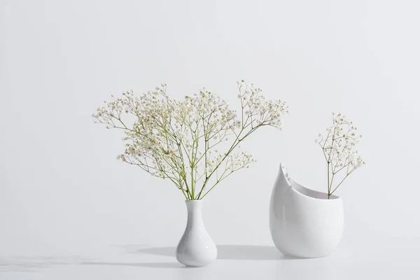 Branches Blooming Flowers Vases White Background — Stock Photo, Image