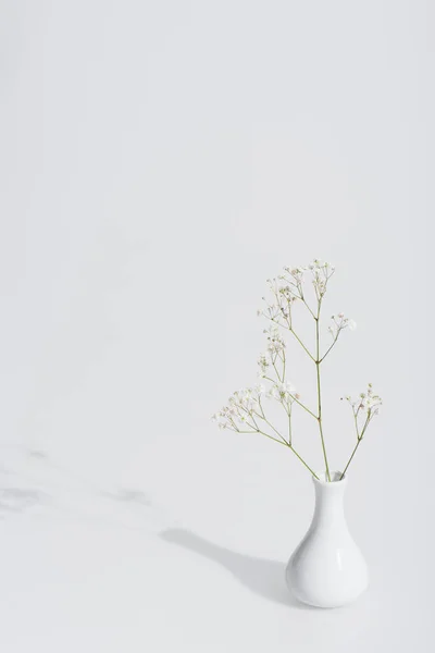 Ombra Vicino Fiori Fiore Vaso Sfondo Bianco — Foto Stock