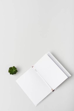 flat lay with blank notebook with pencil near green plant isolated on white clipart