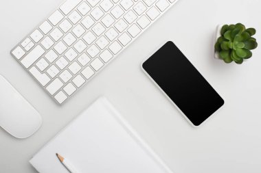 bilgisayar faresi ve klavyesiyle düz bir şekilde dizüstü bilgisayarın, akıllı telefonun ve bitkinin yanına uzandı 