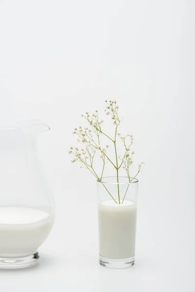 Tak Met Bloeiende Bloemen Glas Met Melk Buurt Kruik Wit — Stockfoto