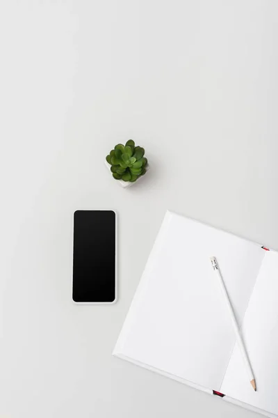 Flache Lage Mit Notizbuch Mit Bleistift Grüner Pflanze Und Smartphone — Stockfoto