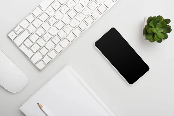 flat lay with computer mouse and keyboard near notebook, smartphone and plant isolated on white