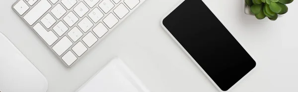 Top View Smartphone Blank Screen Computer Keyboard Plant Isolated White — Stock Photo, Image