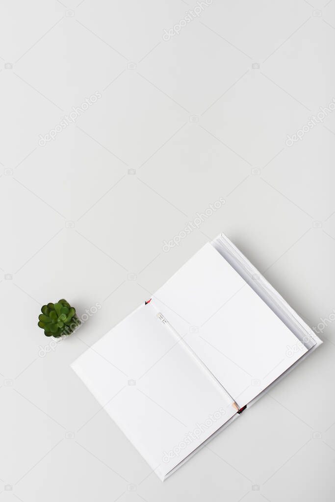 flat lay with blank notebook with pencil near green plant isolated on white