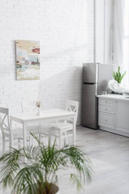 Mutfakta mutfak aletleri ve modern ev eşyaları var.