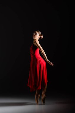 Young ballerina in red dress and pointe shoes dancing on black background clipart