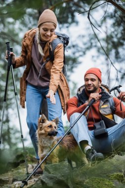 smiling woman with hiking sticks reaching dog near boyfriend resting in forest 