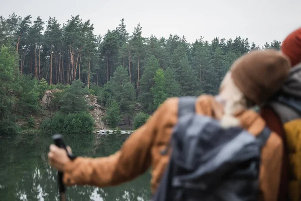 Зелені Дерева Озеро Лісі Біля Розмитої Пари Передньому Плані — стокове фото