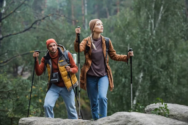 Pareja Trekking Con Bastones Senderismo Bosque —  Fotos de Stock