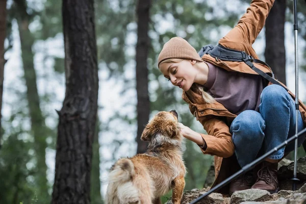 Cheerful Woman Hat Cuddling Dog Woods — Stockfoto