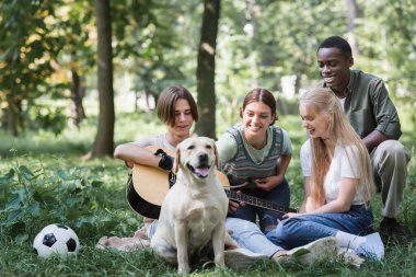 Positive interracial teenagers with acoustic guitar, football ball and retriever on lawn  clipart