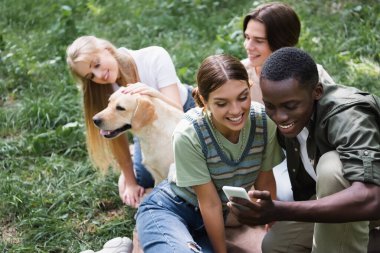 Afrika kökenli Amerikalı genç parkta av köpeğiyle arkadaşlarının yanında akıllı telefon kullanıyor. 