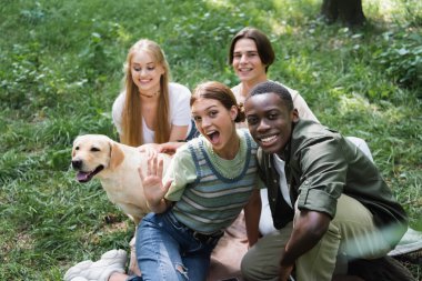 Çimenlikteki av köpeğinin yakınındaki kameraya bakan çok ırklı genç arkadaşlar 