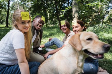 Bulanık av köpeğinin yanında oynadığım, çoklu etnik çeşitlilikte gülümseyen gençler. 