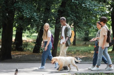 Köpekli ve kaykaylı gülümseyen gençler parkta yürürken konuşuyorlar. 