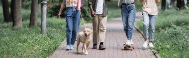 Kaykaylı ve av köpekleriyle parkta yürüyen çoklu etnik gruptan gençlerin manzarası. 
