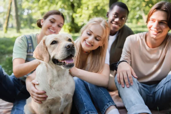 Retriever Blurred Interracial Teenagers Outdoors — Stock Photo, Image