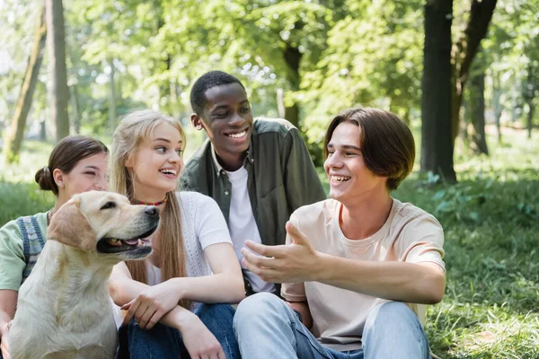 Usmívající Teenager Ukazuje Retrívra Blízkosti Mezirasových Přátel Parku — Stock fotografie