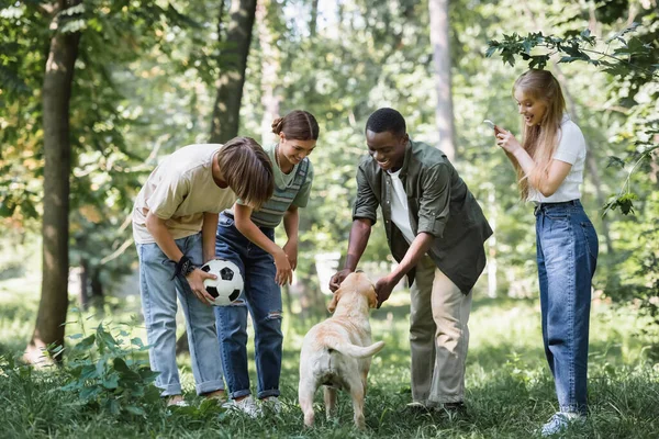 Interracial Teenagers Smartphone Football Ball Petting Retriever Park — Stock Photo, Image